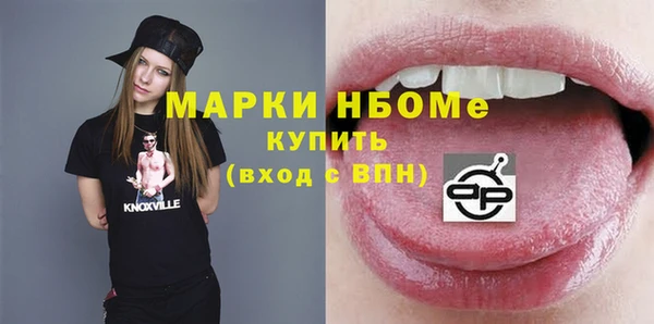 хмурый Алзамай