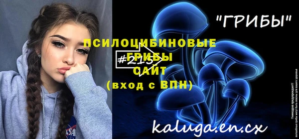 хмурый Алзамай